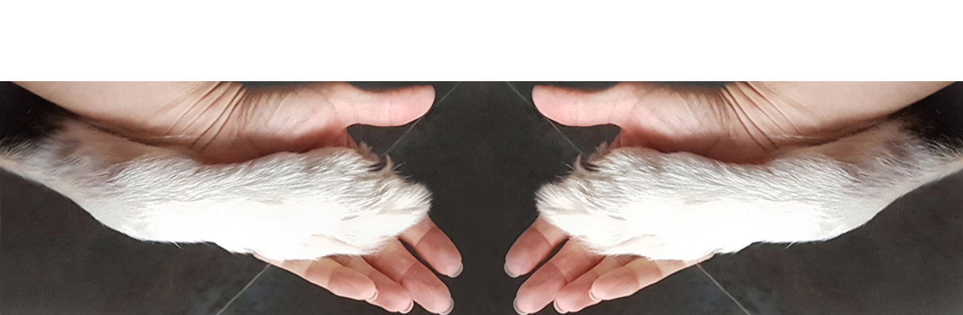 &nbsp;
